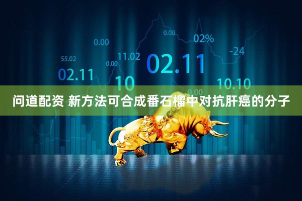 问道配资 新方法可合成番石榴中对抗肝癌的分子
