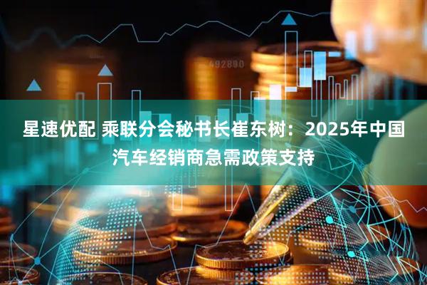 星速优配 乘联分会秘书长崔东树：2025年中国汽车经销商急需政策支持