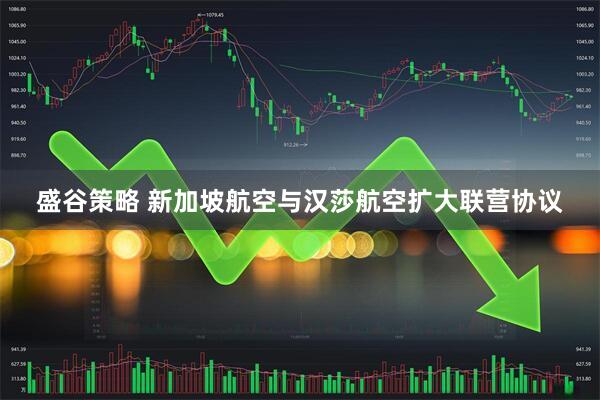 盛谷策略 新加坡航空与汉莎航空扩大联营协议